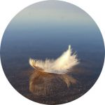 cropped-plume-sur-eau-image-ronde.jpg